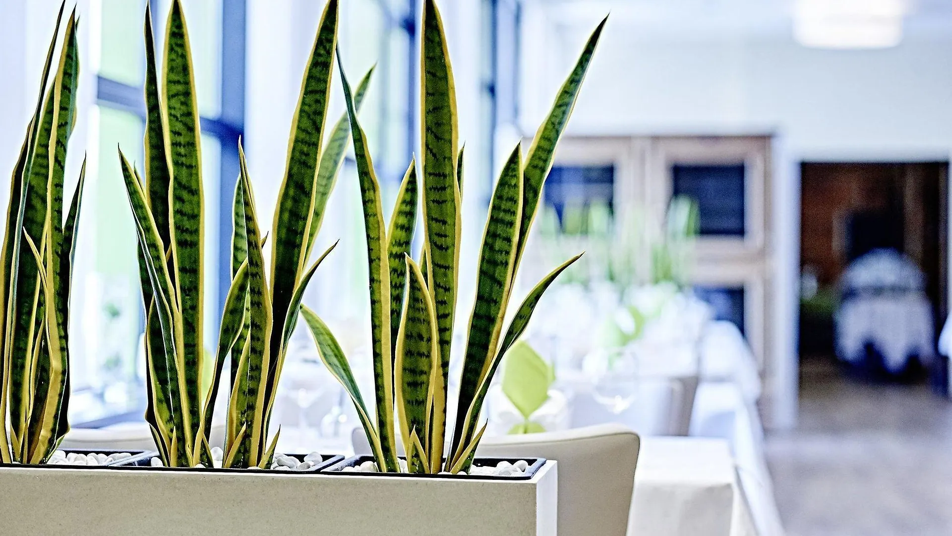 Garner Hotel Erlangen Sud By Ihg